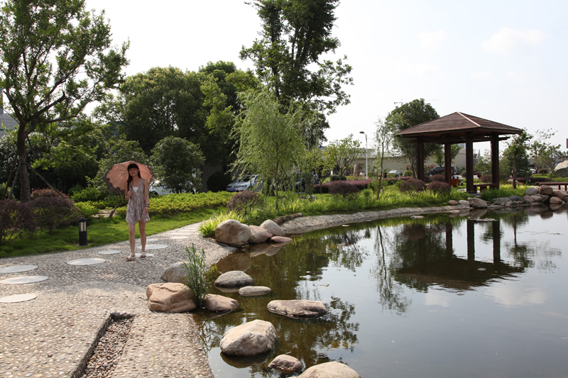 景致如画的二水厂一角